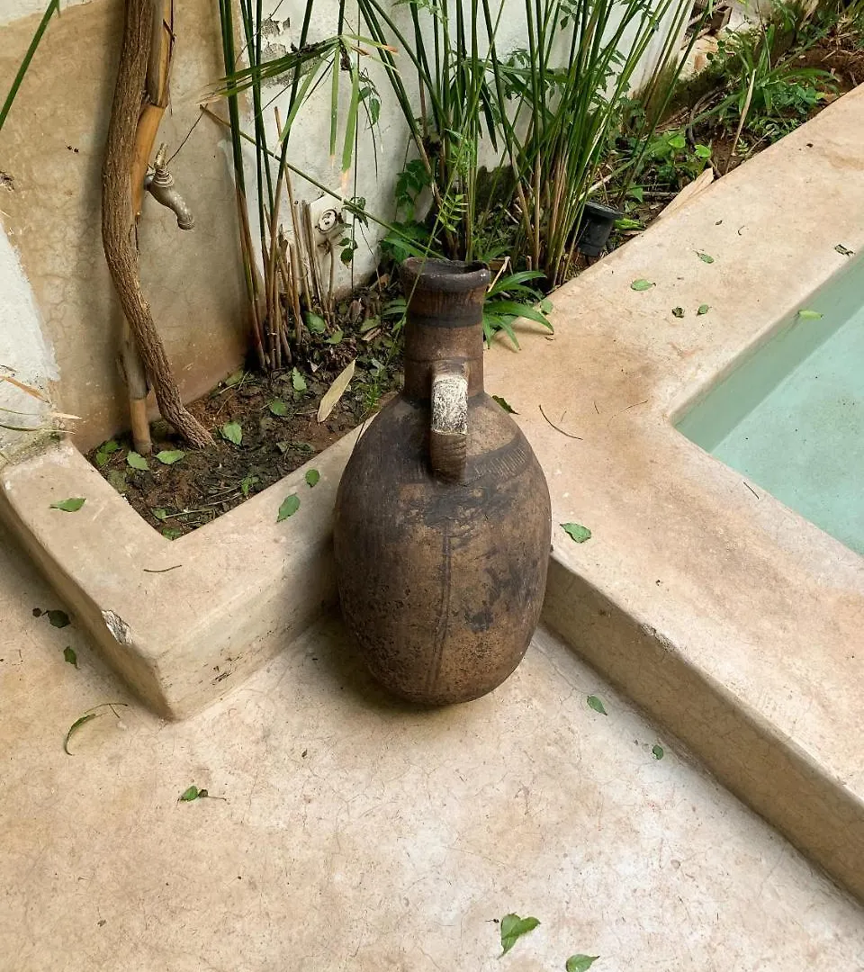 Housing Marrakech Chez Rachid Ξενοδοχείο Μαρακές