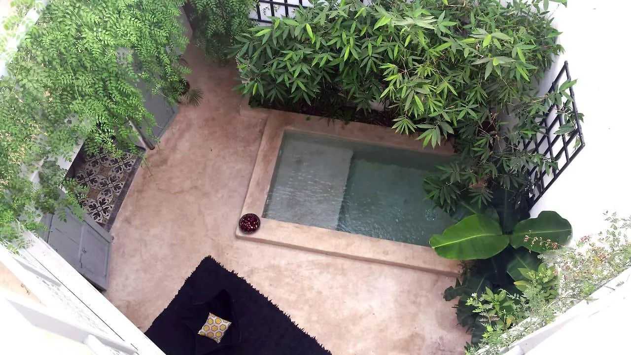 Housing Marrakech Chez Rachid Hotel Marrakesh 0*,