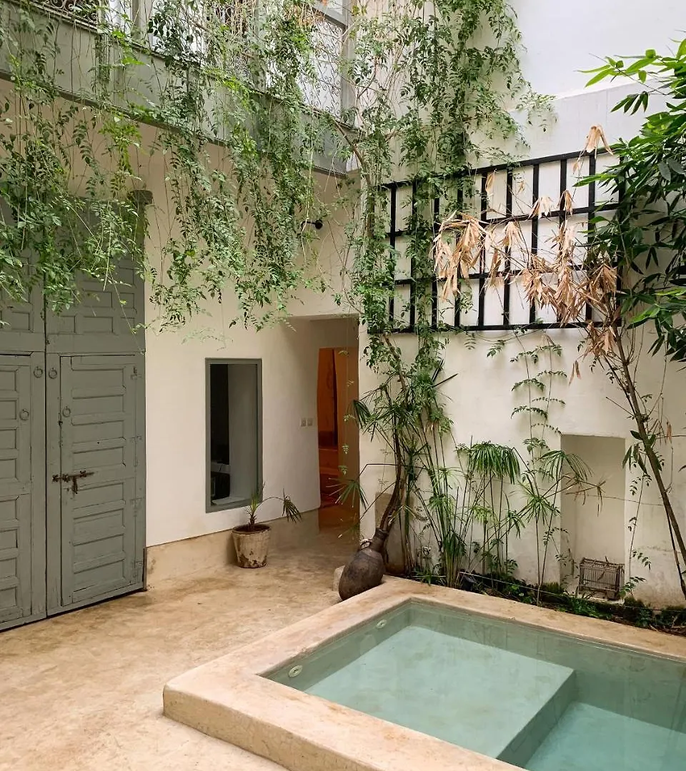 Housing Marrakech Chez Rachid Hotel Marrakesh